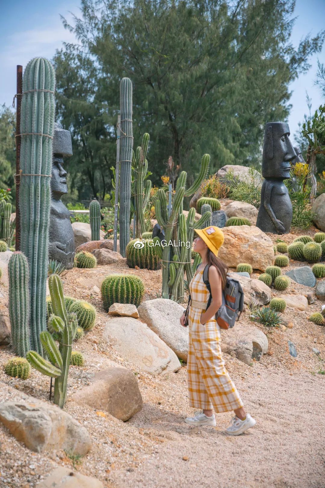 大V推荐|国内少有的黄金沙滩海岸,漳州六鳌游玩必备攻略,拍照小贴士!