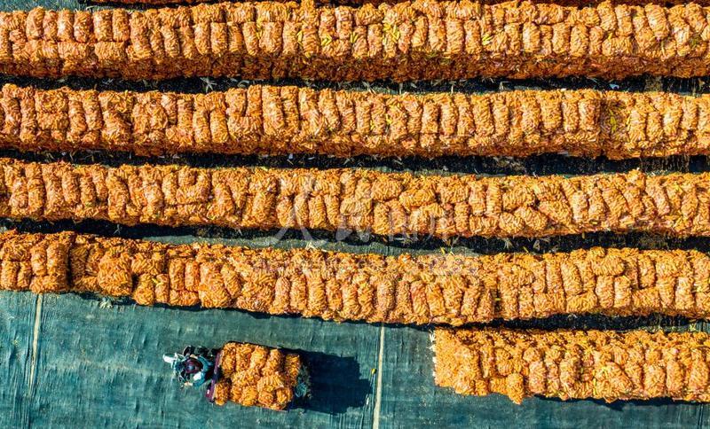 山西万荣汾河碧波,汾河岸边秋色美