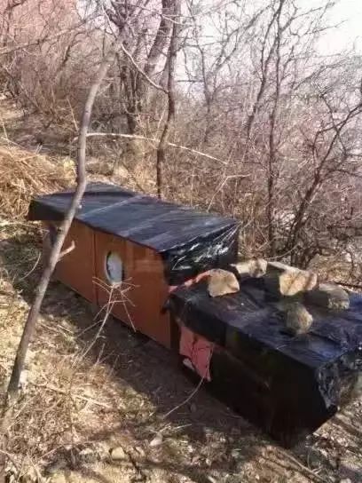 2019温暖继续！这是第七年CatS牌温暖冬屋，替猫咪们说感谢