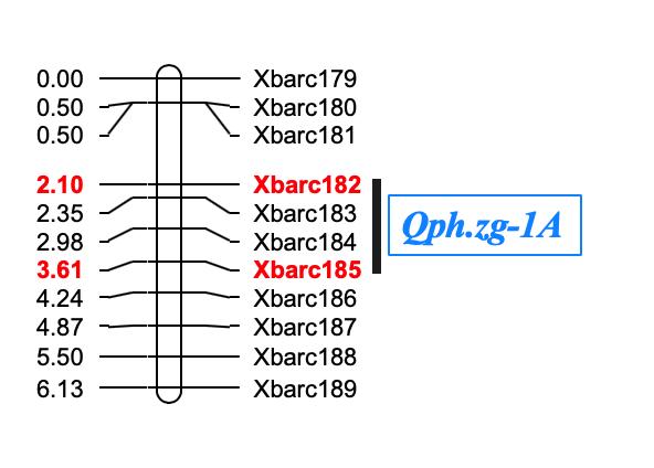 如何绘制交叉网状图,怎么快速画线性图
