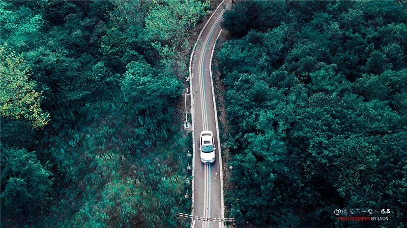 天呐！被南京这些路圈粉！