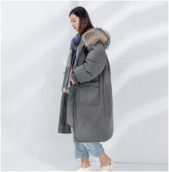 柳泉今晚最新新闻,柳泉路最新消息