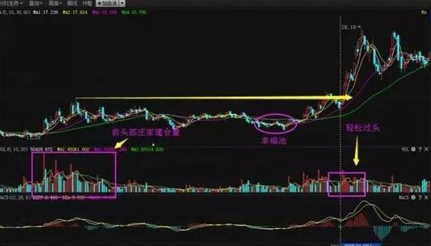 股市新手必备十大技巧,股市稳定盈利的唯一秘诀