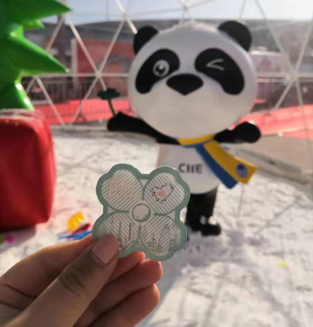 进博会小叶子徽章,进博会小叶子完整视频