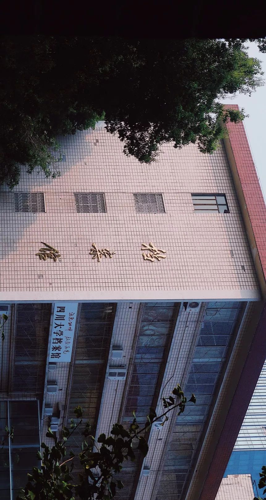 川大望江介绍,川大望江校区