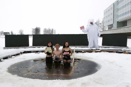 诺基亚的衰败和苹果手机的崛起,诺基亚的衰败分析论文