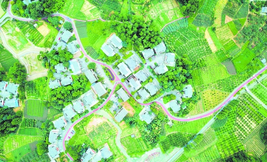 成都东部新区乡村振兴,成都乡村振兴精品线路