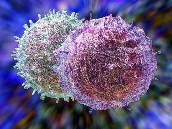 新视角pdd名单,scc在肺癌诊断中的价值