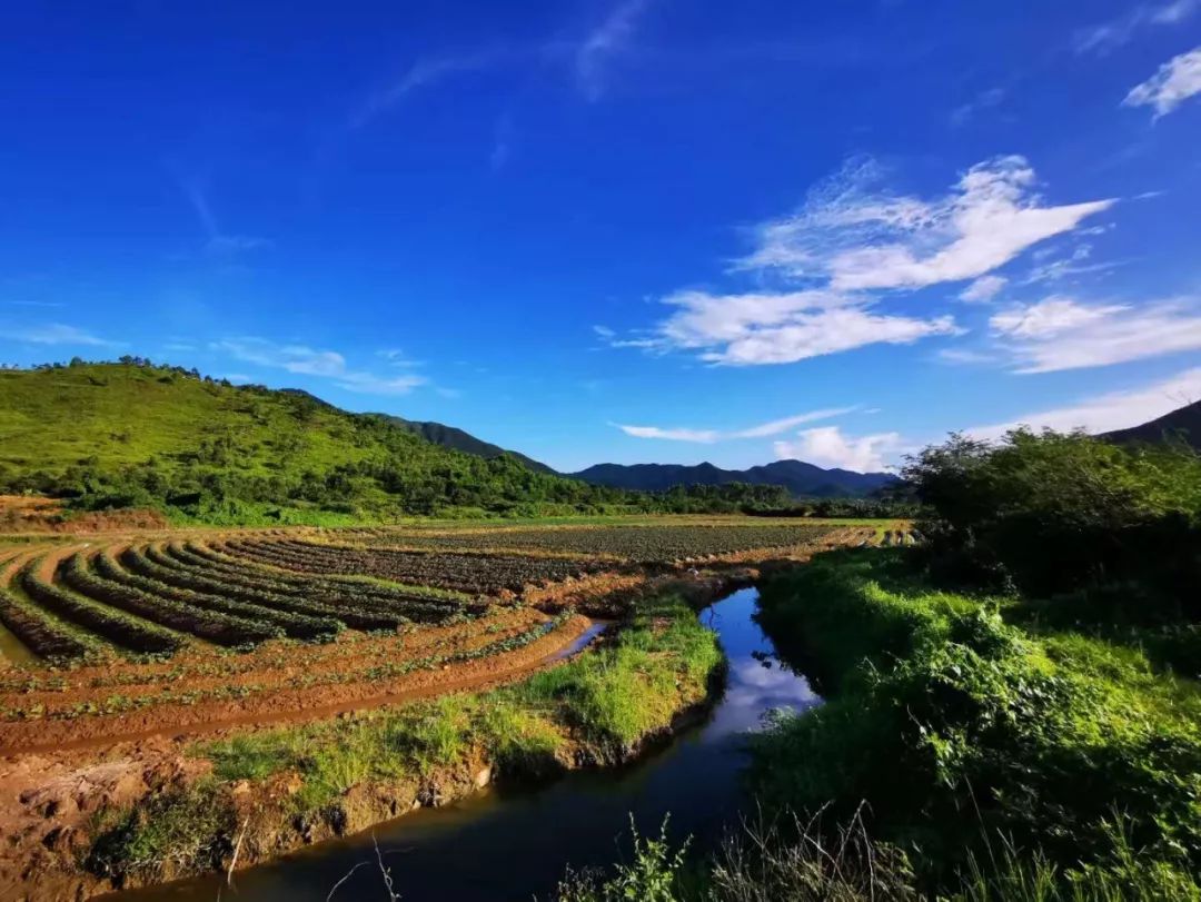 电网男女送礼都有啥？网友：送个锤子