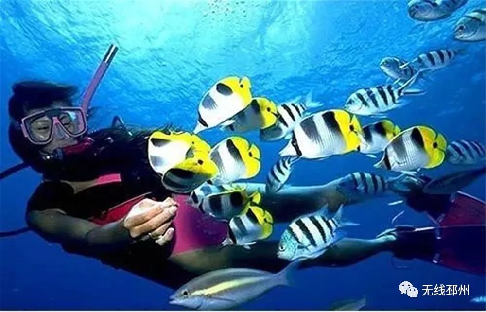 主播随行，畅游天下！跟着小编来这个地方“避冷”吧