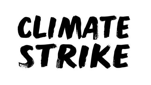 2017柯林斯年度热词,柯林斯高阶在线词典