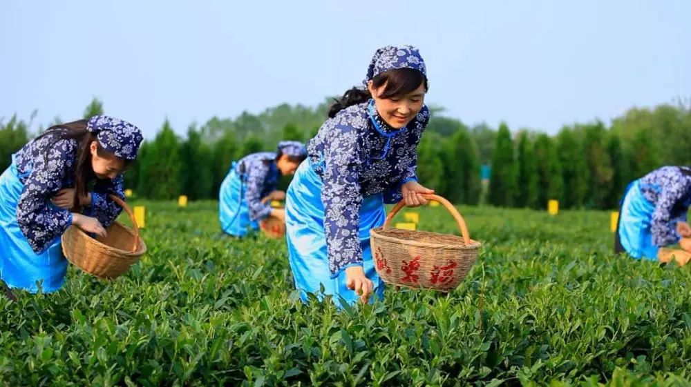 爱上日照的理由是什么,爱日照的100个理由