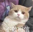 售后问题补偿方案,售后问题该怎么解决