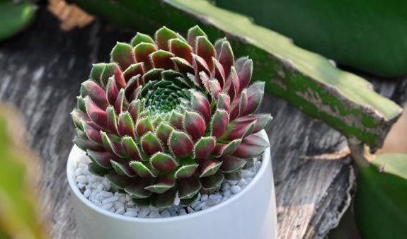 卧室里的厕所有什么禁忌,卧室厕所对床有忌讳吗