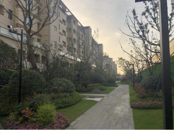 雨山区最好的楼盘排行榜,雨山路新楼盘价格