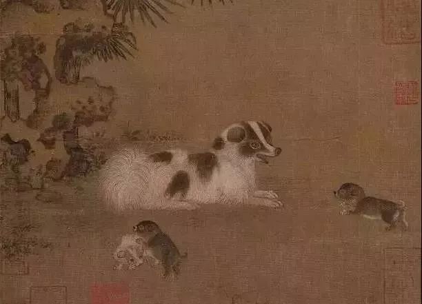 趣读丨旧时苏州人「养宠物」极简史，不只是吸猫遛狗