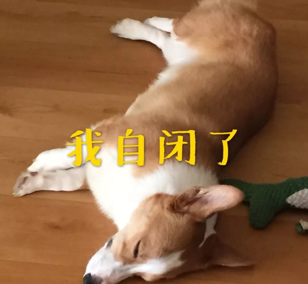 市面很多低价名表是真的吗,买的名表是否正品