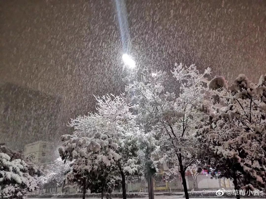 中国哪里开始下雪了,什么地方开始下雪了