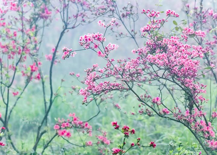 幸福四重奏视频,台州连续几年被评为最幸福城市