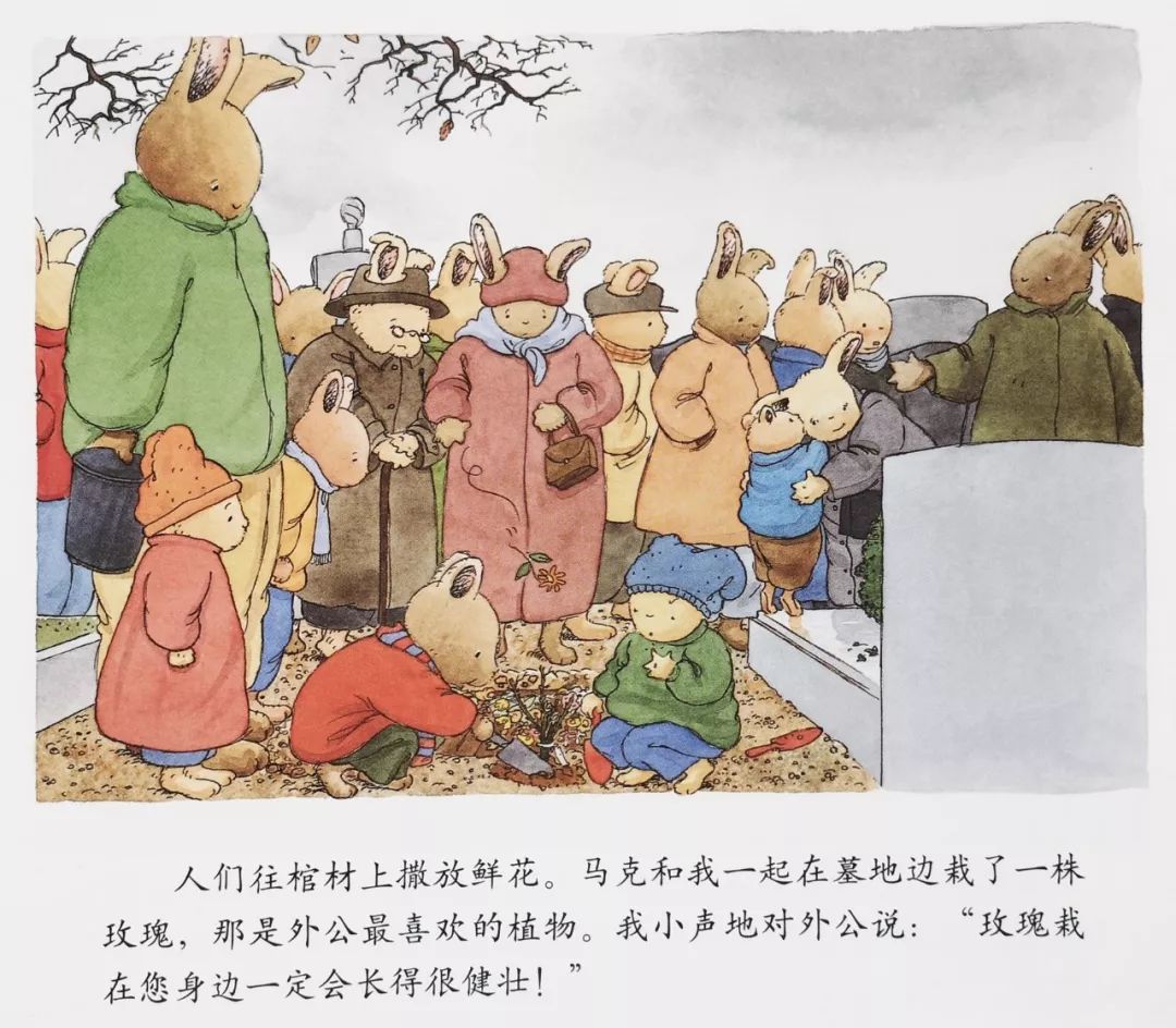 绘本30本,目前市面上最畅销的绘本系列