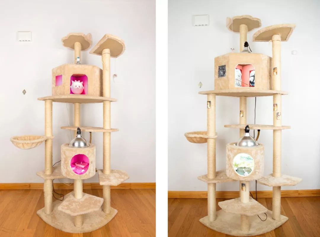 搞艺术和玩艺术,搞艺术是为了好玩吗