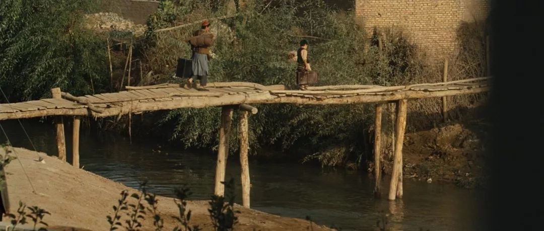 追风筝的人追的到底是什么,追风筝的人终其一生都是在追寻