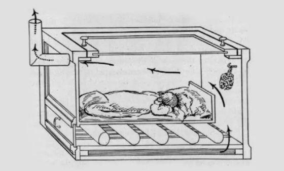 离开女人的子宫,科学家们怎么neng出一个孩子?