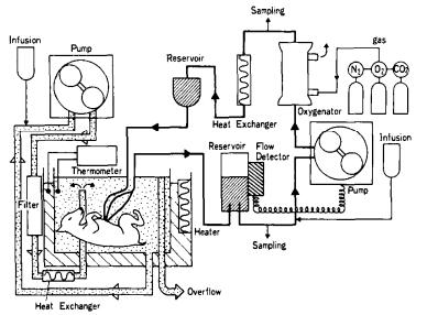 离开女人的子宫,科学家们怎么neng出一个孩子?