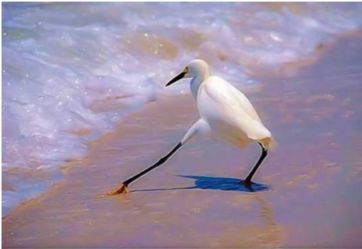 这张图非常火，网友留言说：这个星星就不知道把板凳往前挪一挪吗