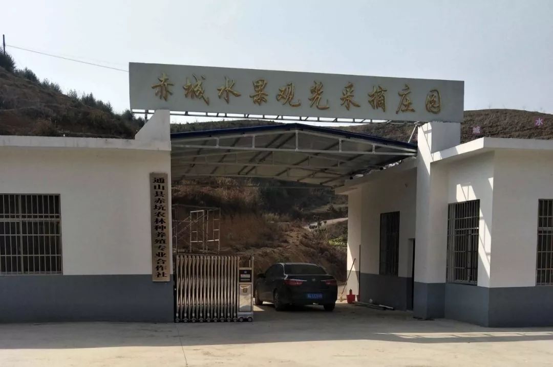 幕阜山有哪些项目,幕阜山开发最新消息