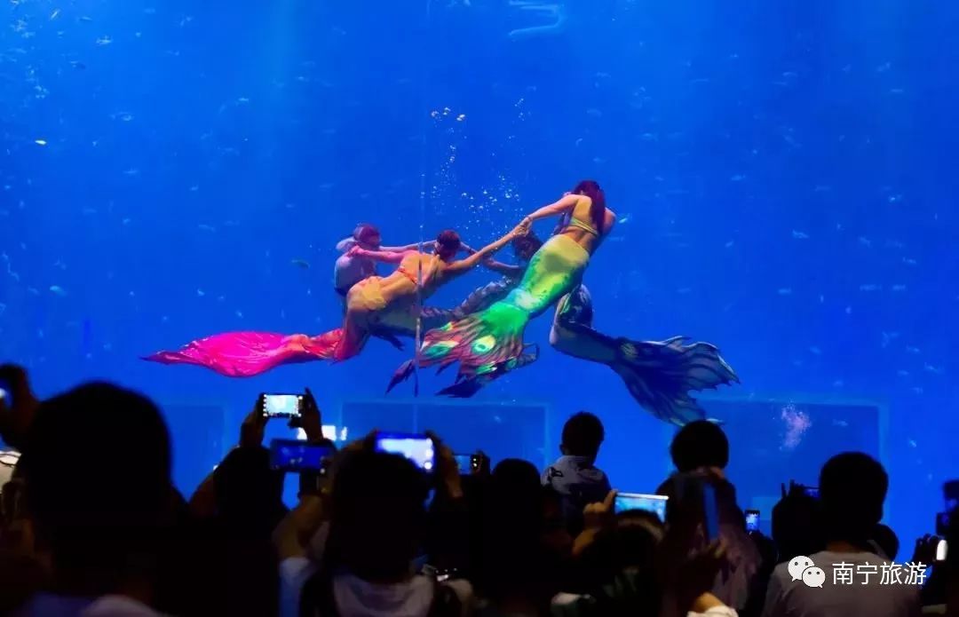 南宁有什么好玩的文旅活动 (南宁旅游美食节)