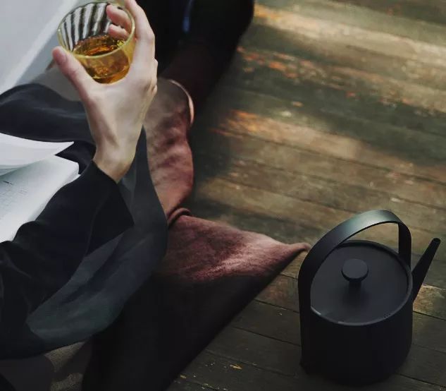 一只好看的电水壶,英国亲王都爱,五星酒店标配