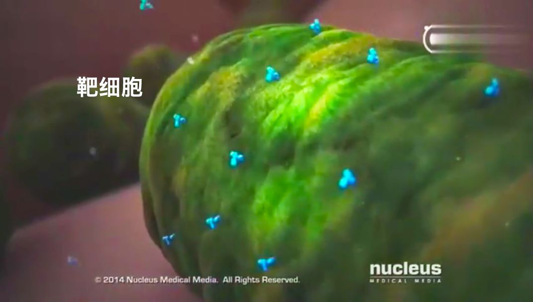 谈艾色变终结艾滋病流言,谈艾色变恐艾症