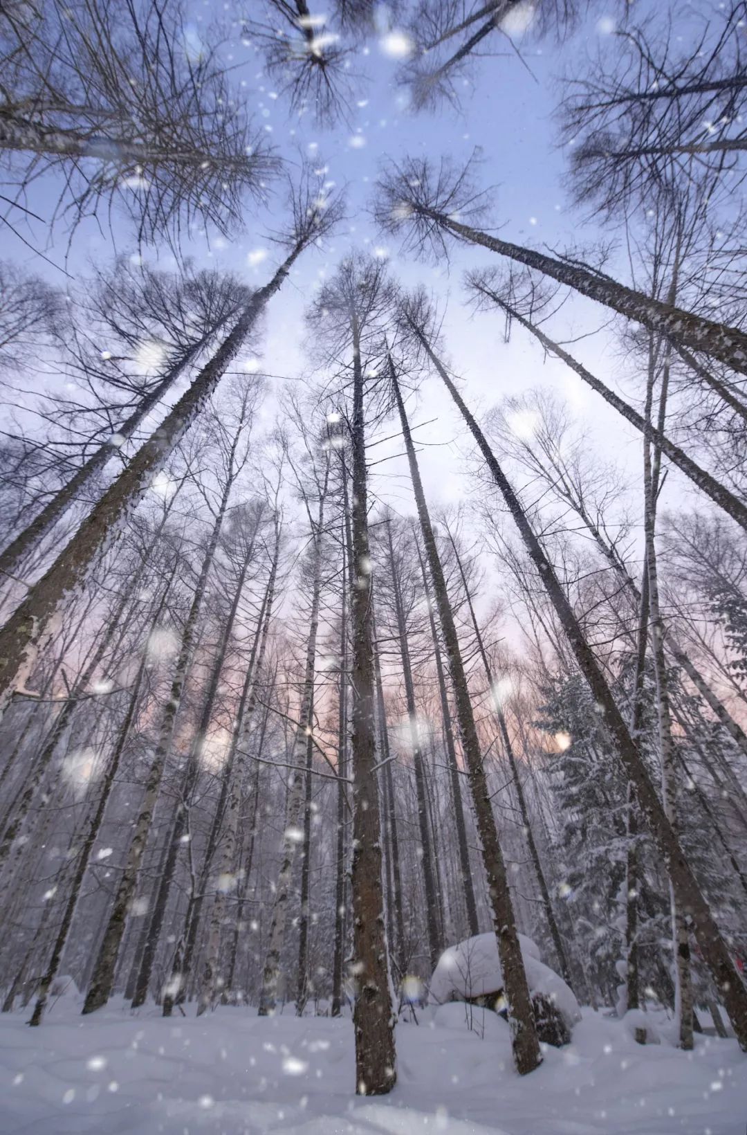 雾凇哪儿好看,吉林在哪里看雾凇比较好
