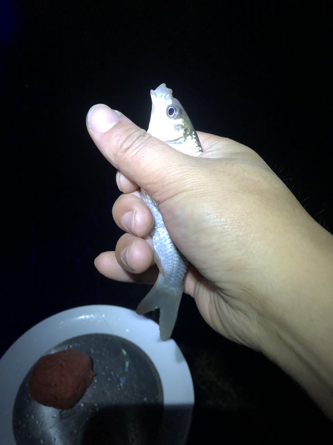 时隔一年再次出征,时隔一年再次上路