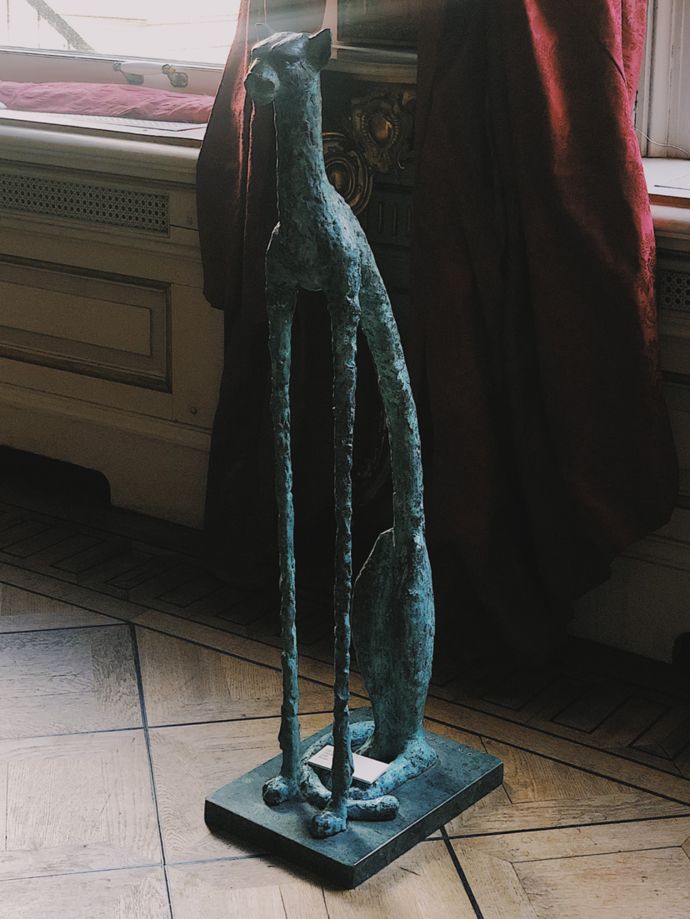 各种猫咪的博物馆,猫咪博物馆都有哪些猫