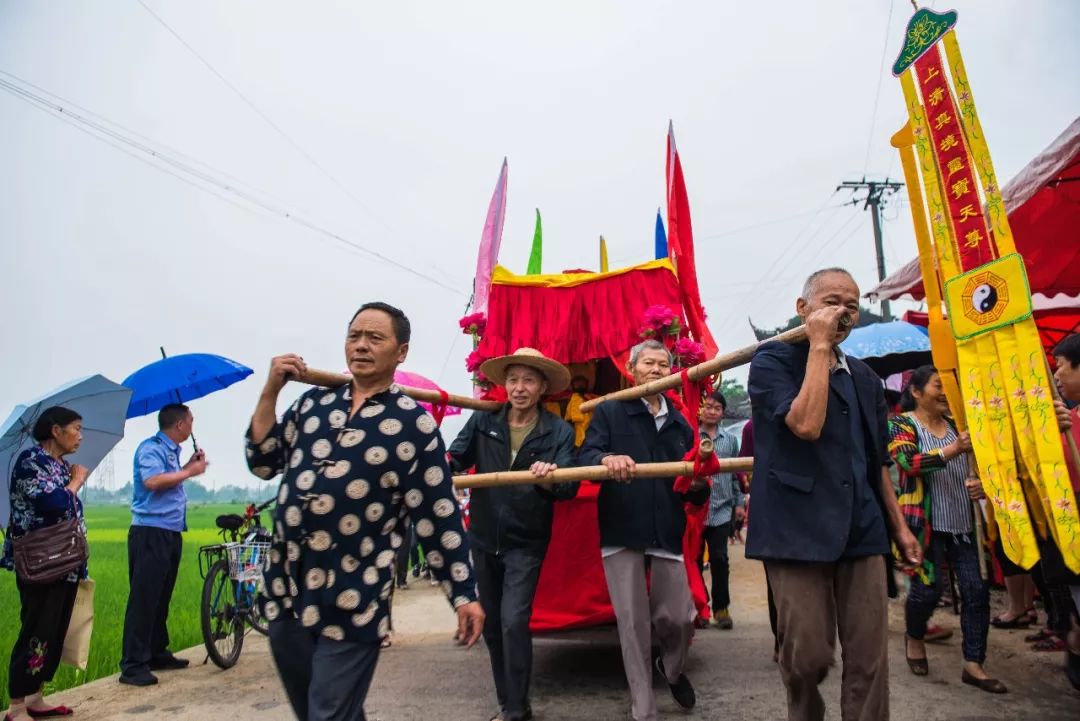 浓浓古典意蕴，孕育千年相思树！什邡这个小镇真的很美