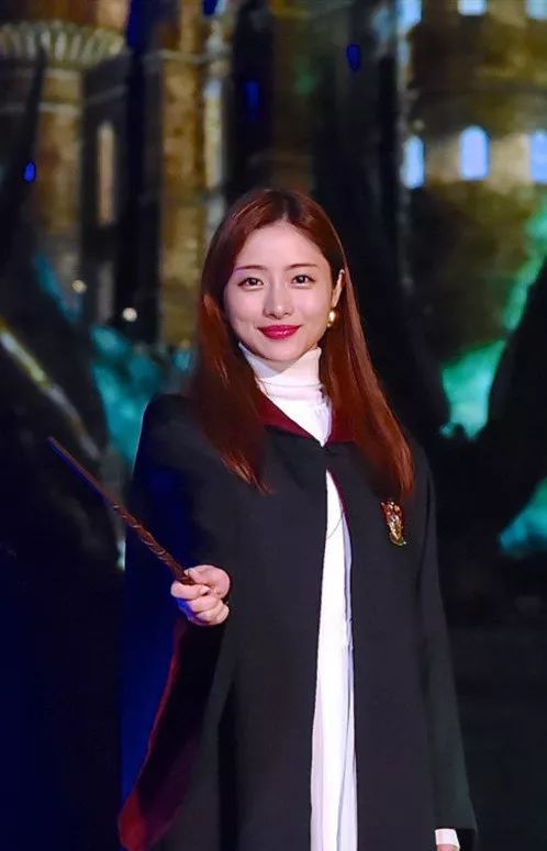 palnartpoc联名哈利波特,哈利波特联名合集