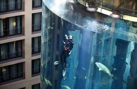 世界最大的鱼缸有多大,世界上最大的巨型鱼缸