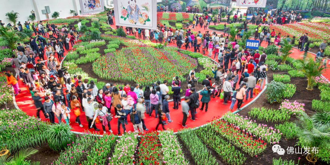 鎴戠埍鎴戝浣涘北,鎴戠殑鑰佸浣涘北