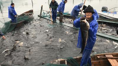 宁波冬天不太冷,宁波冬天冷怎么过