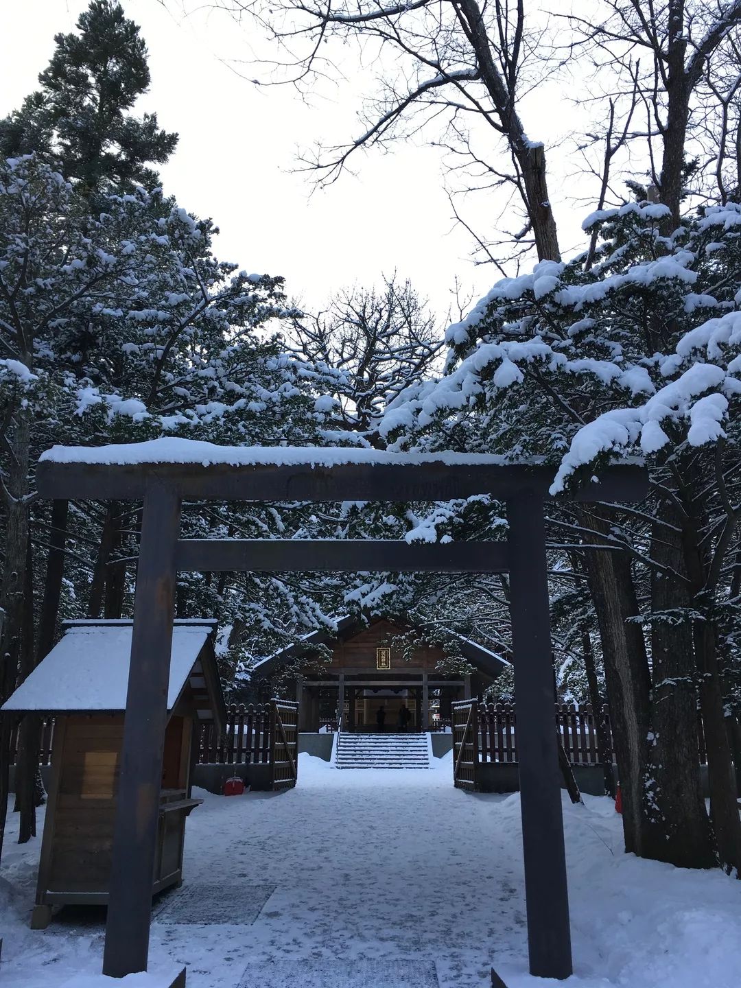 游记雪野湖作文,北海道游记