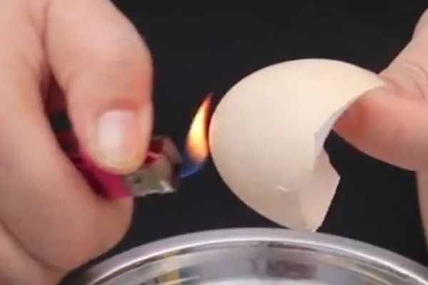 鸡蛋壳用火烧有什么用,鸡蛋壳用火烧过以后可以当肥料吗