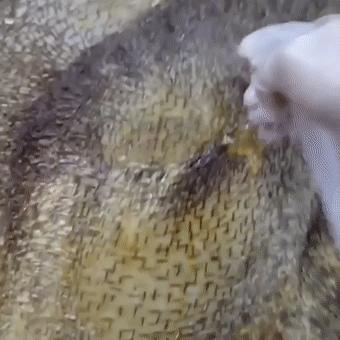 切出40000块面包丁玩拼图，无聊吃货的最高境界？