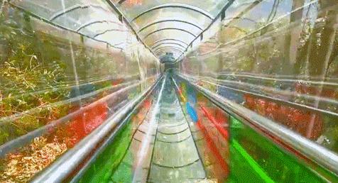 一房私汤温泉民宿推荐,南京一汤一庭院温泉民宿