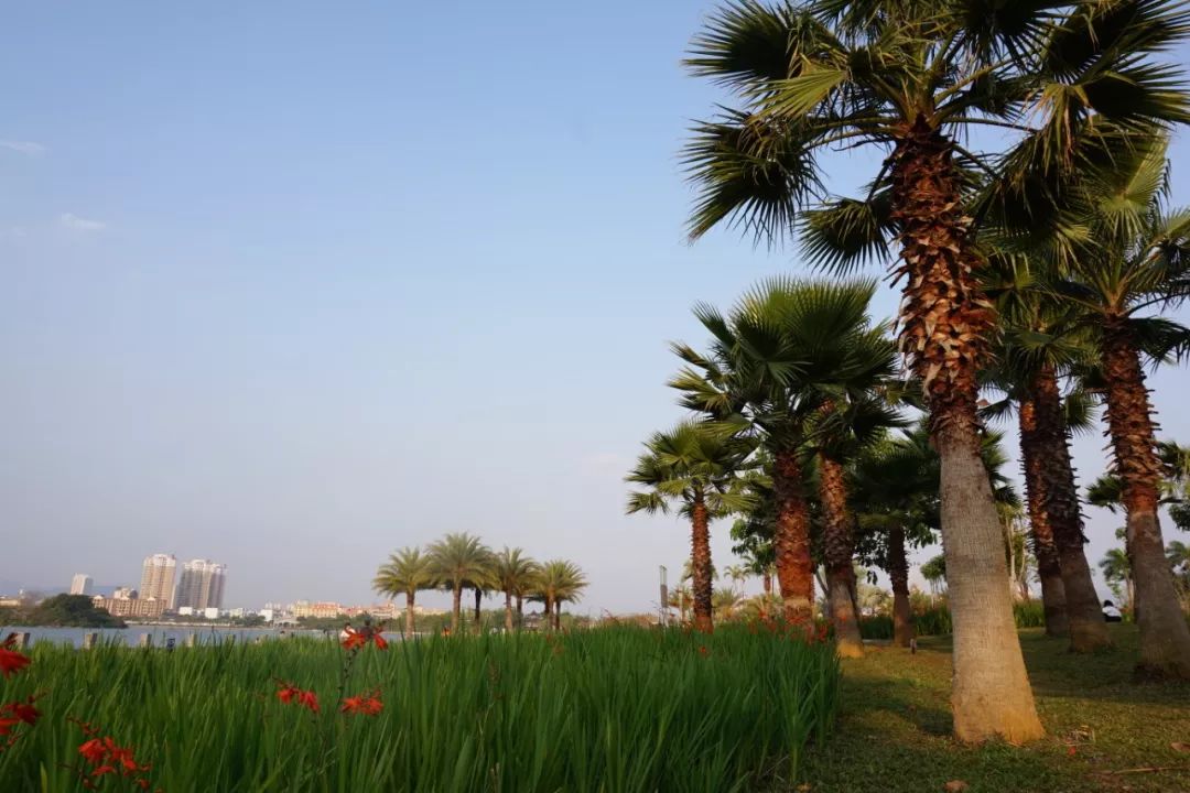 严重老化开裂，雨刮还不换？只会加玻璃水的7年老司机终于迎来换雨刮首秀！宝骏560女车主“*力暴**”安装的新雨刮，靠谱吗？