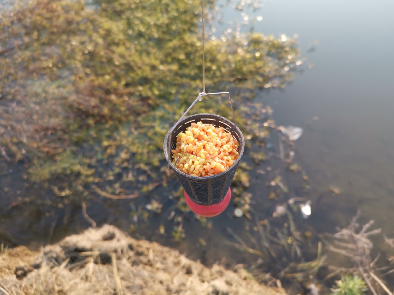 全国各地区常见钓法介绍,传统钓各种钓法