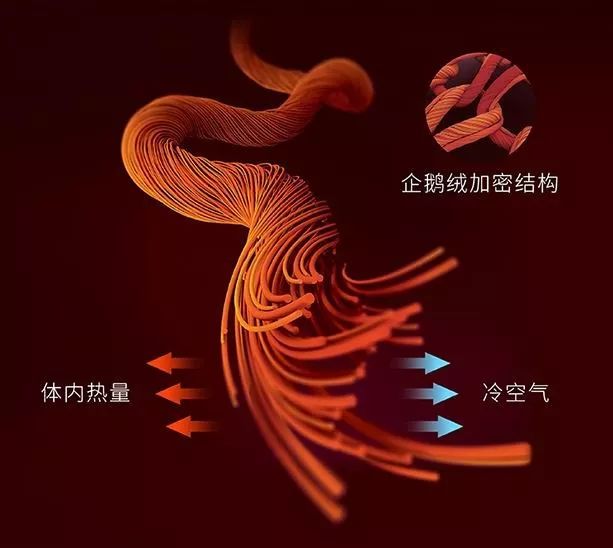 日本黑科技发热保暖内衣,加厚发热保暖内衣黑科技