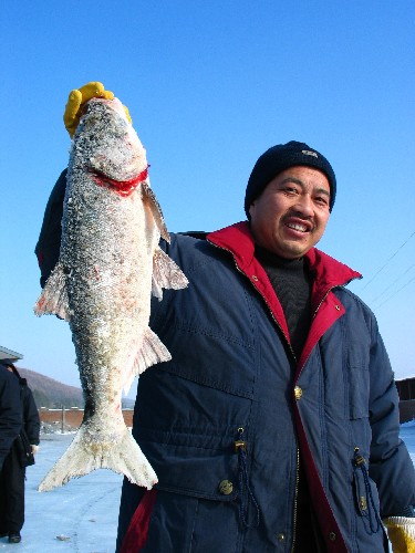 镜泊湖冬日瀑布,冬天镜泊湖吊水楼瀑布