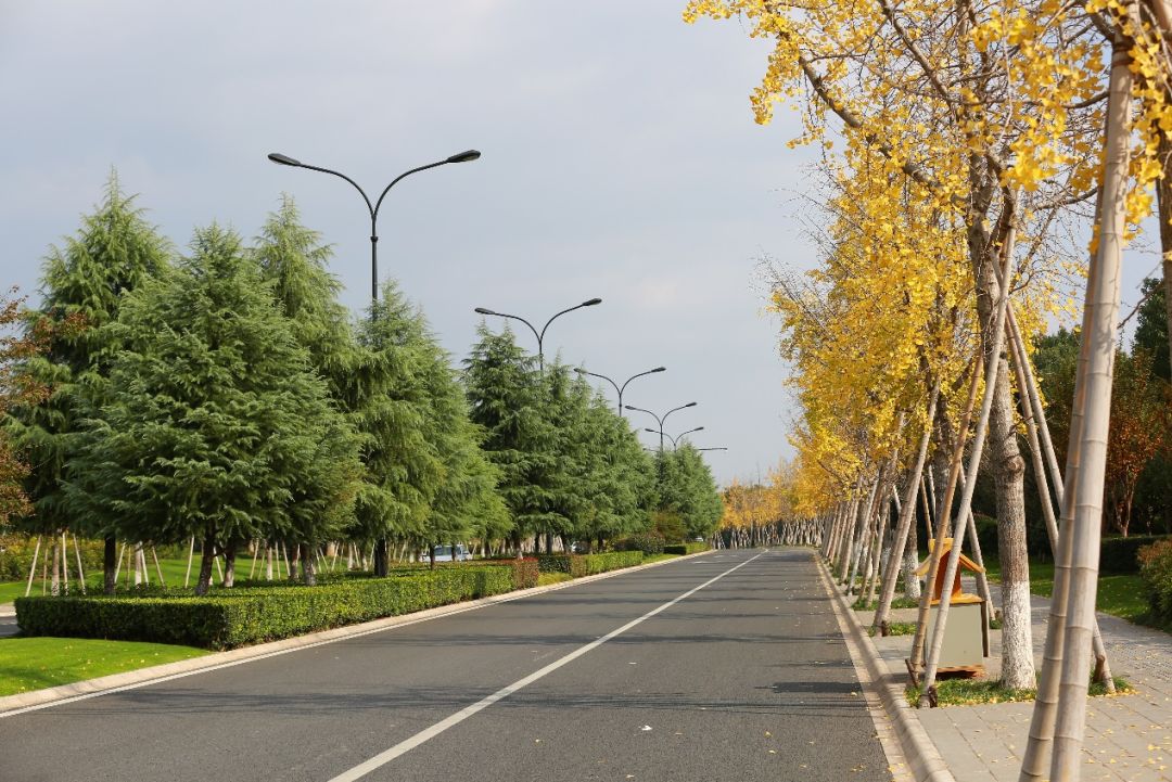 义乌十大网红打卡地,义乌网红打卡小镇